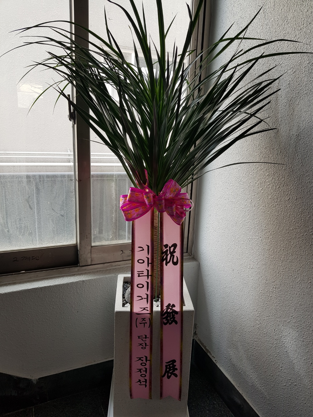 http://www.vivanews.co.kr/bs/userimg/fileu/1652666795_1652655251292.jpg